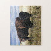 Buffalo Bull Legpuzzel (Verticaal)