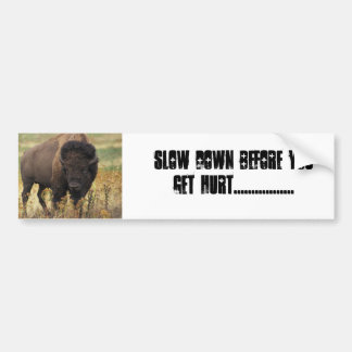 BUFFALO BUMPERSTICKER