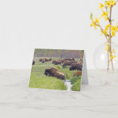 Buffalo Crossing Note-Kaart Kaart (Gele Bloem)