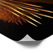 Buffalo Dance Poster (Hoek)