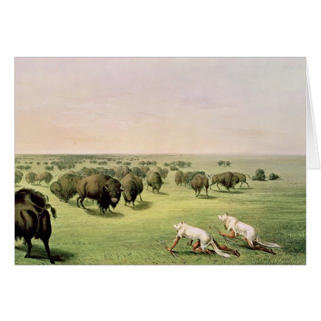 Buffalo de chasse camouflé (Devant horizontal)
