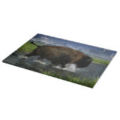 Buffalo De rivier passeren Snijplank (Hoek)