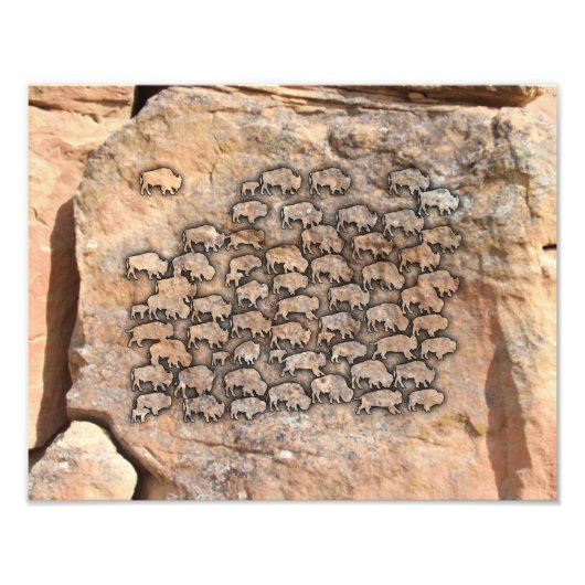 Buffalo Foto Afdruk (Voorkant)