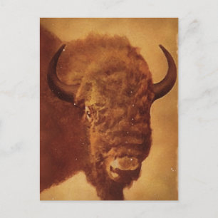 Buffalo/gif Briefkaart