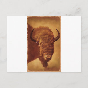 Buffalo/gif Briefkaart
