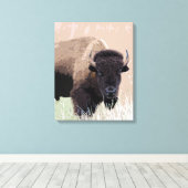 Buffalo/gif Canvas Afdruk (Insitu (Houten vloer))