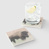 Buffalo/gif Stenen Onderzetter (Zijkant)