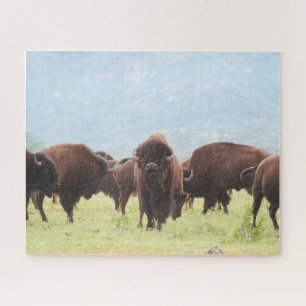 Buffalo Herd Foto Puzzle Legpuzzel