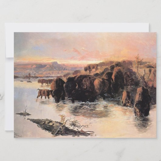 Buffalo Herd Kaart (Voorkant)