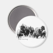 Buffalo Herd Magneet (Voorkant / Achterkant)