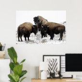 Buffalo Herd Natuur Wall Poster (Thuiskantoor)