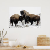 Buffalo Herd Natuur Wall Poster (Keuken)