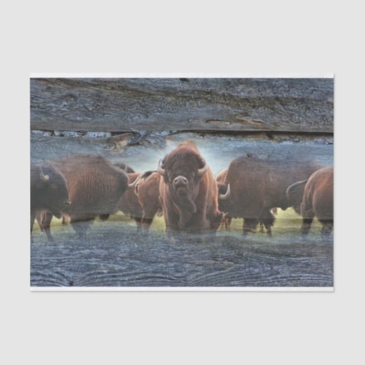 Buffalo Herd Tissuepapier (Voorkant)