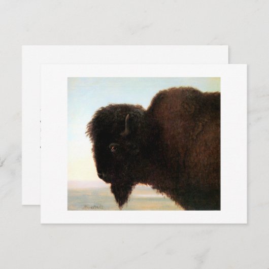 Buffalo Hoofd van Albert Bierstadt verven Aankondiging (Voorkant / Achterkant)