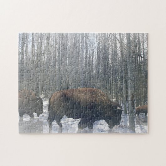 Buffalo in de sneeuw legpuzzel (Horizontaal)
