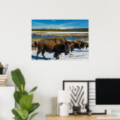 Buffalo in de sneeuw poster (Thuiskantoor)