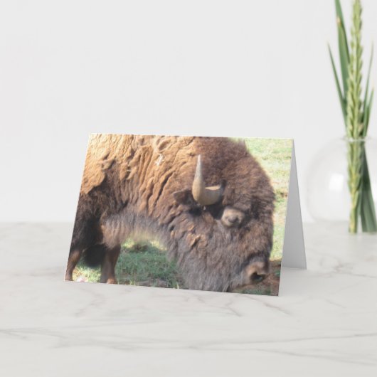 Buffalo Kaart (Voorkant)