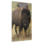Buffalo Klembord (Rechts)