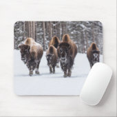 Buffalo Muismat (Met muis)