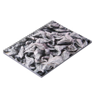 Buffalo Nuts - Waterkaltrop Notitieboek