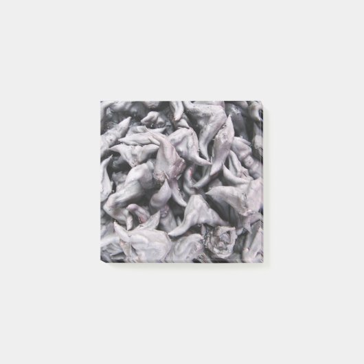 Buffalo Nuts - Waterkaltrop Post-it® Notes (Voorkant)