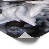 Buffalo Nuts - Waterkaltrop Poster (Hoek)