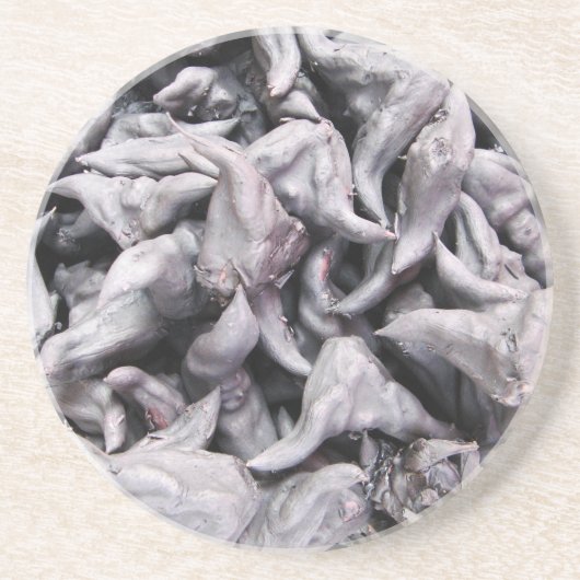 Buffalo Nuts - Waterkaltrop Zandsteen Onderzetter (Voorkant)