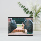 Buffalo NY Briefkaart (Staand voorkant)