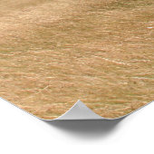 Buffalo onder acia-boom poster (Hoek)