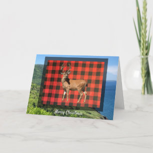 Buffalo Pset Woodland Deer met kerstKaart Feestdagen Kaart