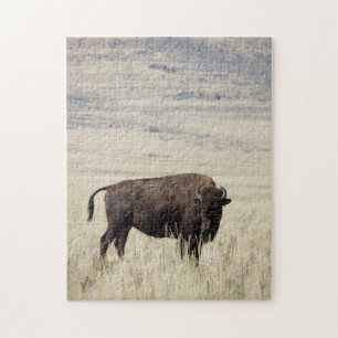 Buffalo Puzzle Legpuzzel