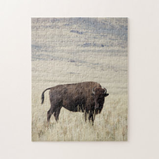 Buffalo Puzzle Legpuzzel