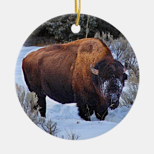 Buffalo Sneeuwfoto Keramisch Ornament (Voorkant)