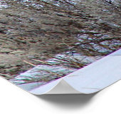 Buffalo Sneeuwfoto Poster (Hoek)