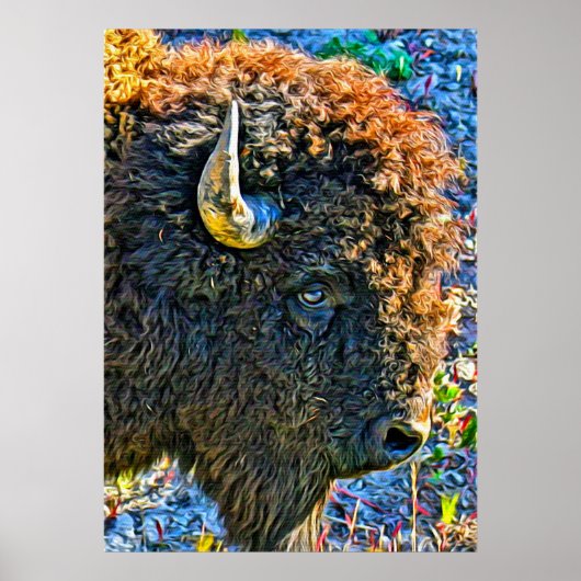 Buffalo Soul Poster (Voorkant)