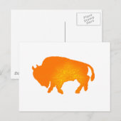Buffalo Sun Briefkaart (Voorkant / Achterkant)