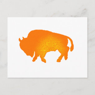 Buffalo Sun Briefkaart