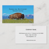 Buffalo Visitekaartje (Voorkant / Achterkant)