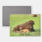 Buffalo with calf magnet magneet (Voorkant / Achterkant)