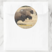 Buffalo Yellowstone Sticker (Tas)