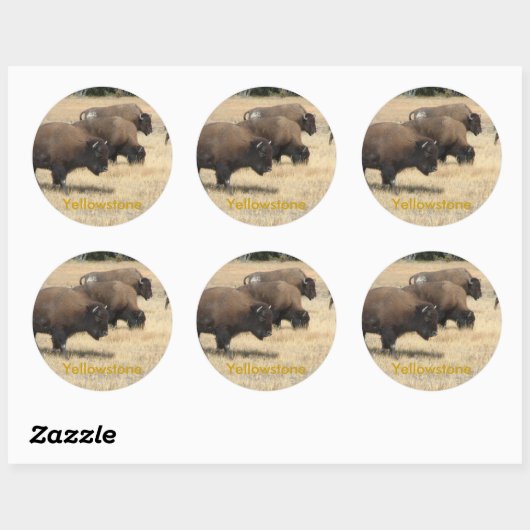 Buffalo Yellowstone Sticker (Vel)