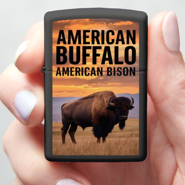 Buffel bij zonsondergang (In Hand)