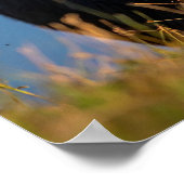 buffel gras etend poster (Hoek)