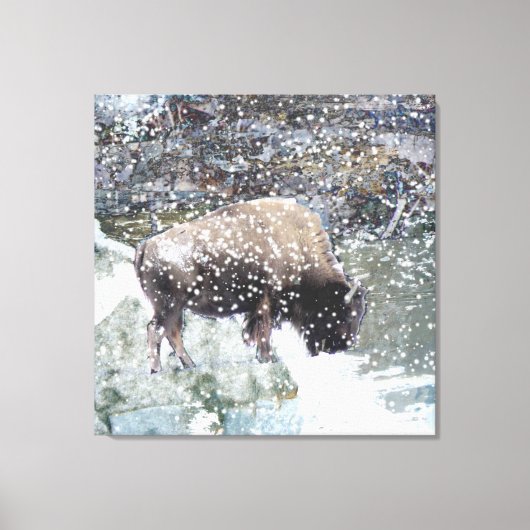 Buffel in Sneeuw Storm Wrapped Canvas Print (Voorkant)