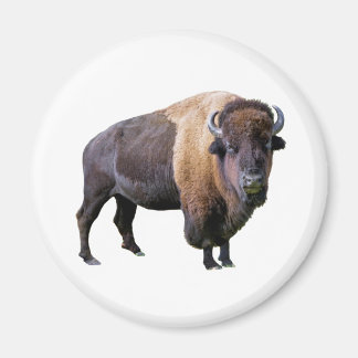 buffel magneet