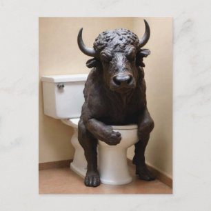 Buffel op toilet briefkaart