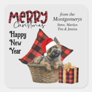 Buffel Plaid Cairn Terrier Hondenkerst Vierkante Sticker