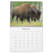 Buffelagenda 2012 kalender (Mar 2026)