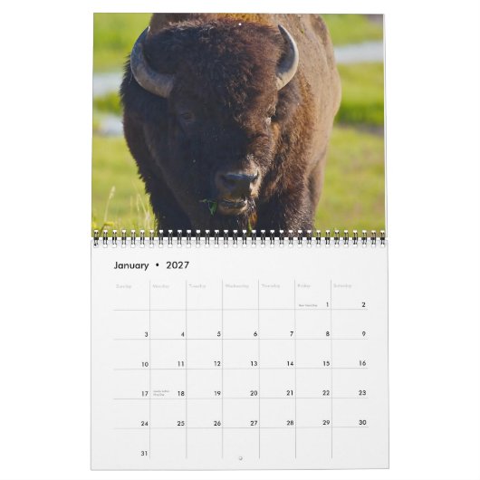 Buffelagenda 2013 kalender (Jan 2027)