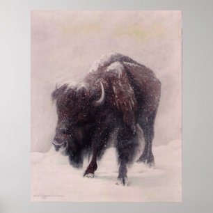 Buffelblad Poster